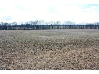 Property photo 2 - REAL ESTATE AUCTION - 17.62+/- ACRES OFFERED IN 2 TRACTS
